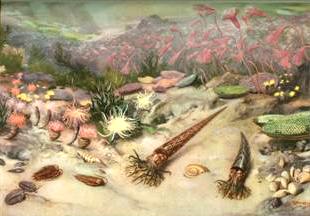 Художественное изображение Протерозоя